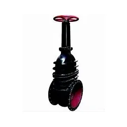 Fero Rising Stem Flange Gate Valve